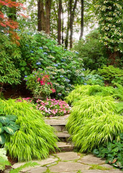 Landscape Garden